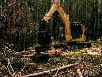 Land Clearing Services Philadelphia in Philadelphia